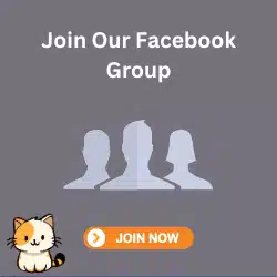 https://www.facebook.com/groups/digitalsubs.net