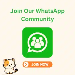 Whatsapp Community